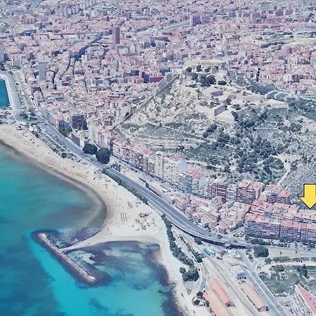 El Olivo Alicante