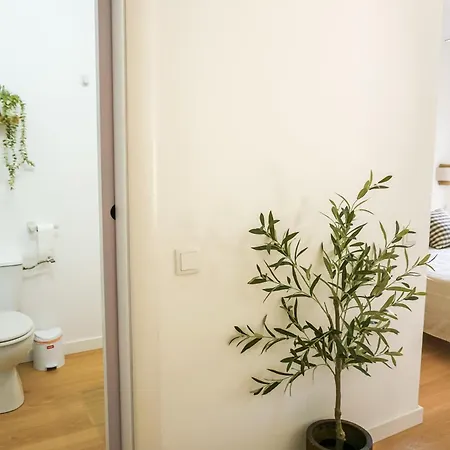 El Olivo Apartment